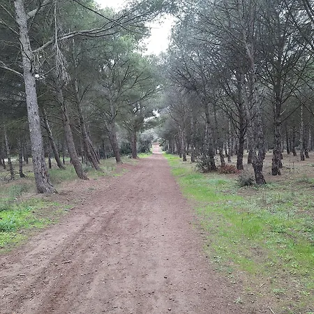 Couette-café Cosy Adults Only 4*