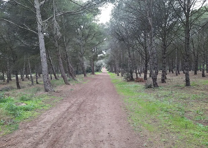 Couette-café Cosy Adults Only 4*